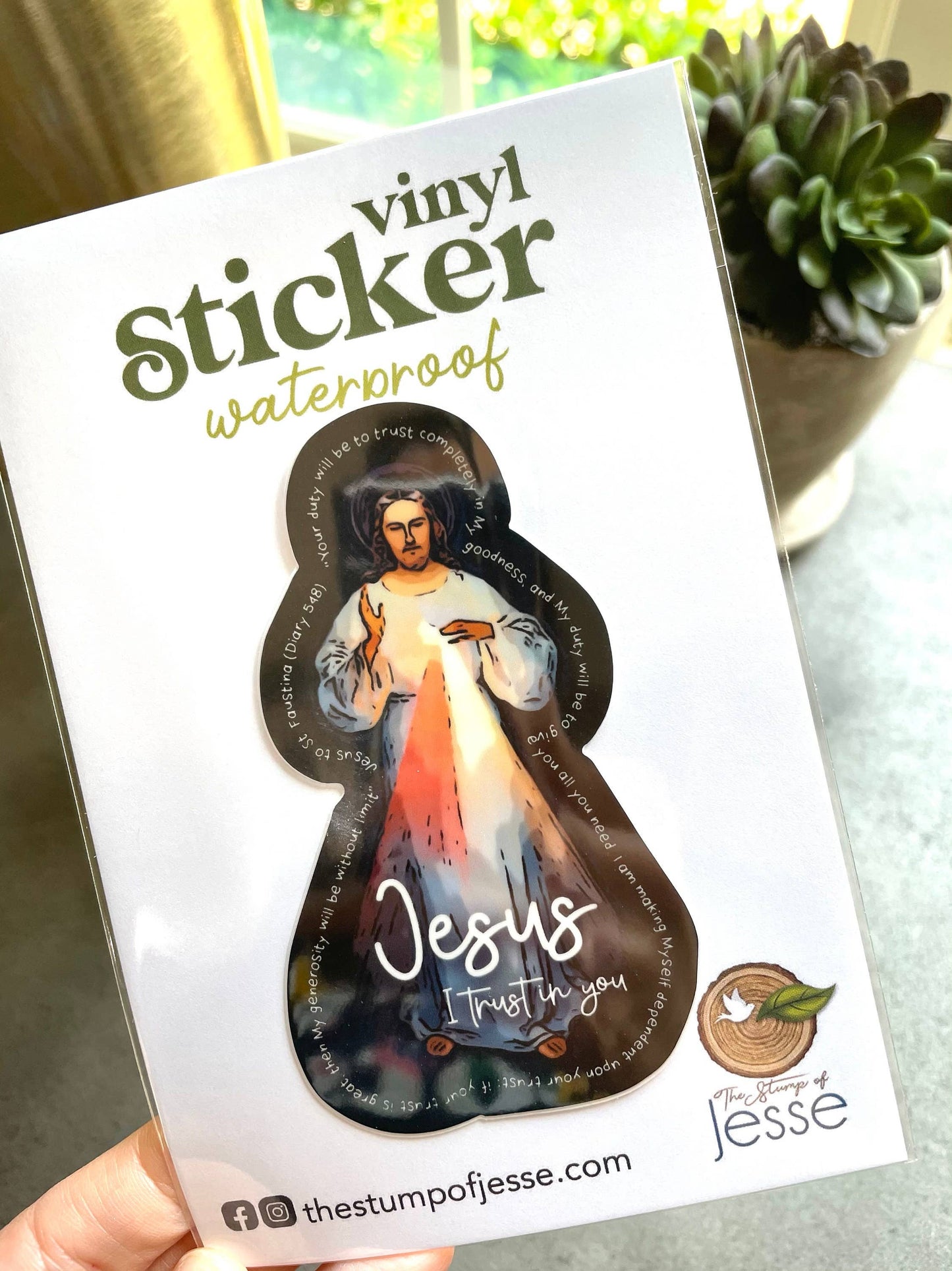 Divine Mercy Jesus Catholic Sticker