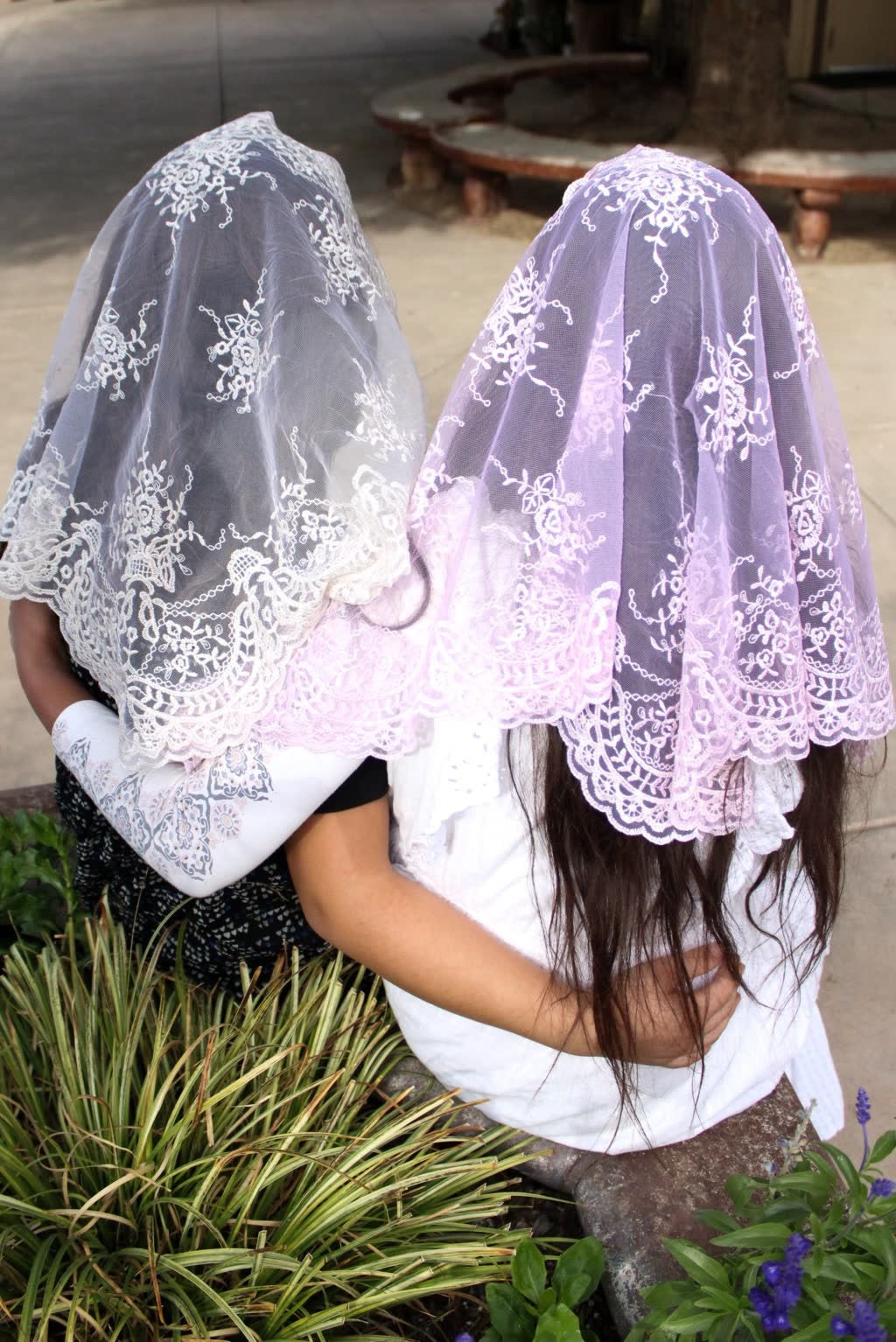 Abanico Veils