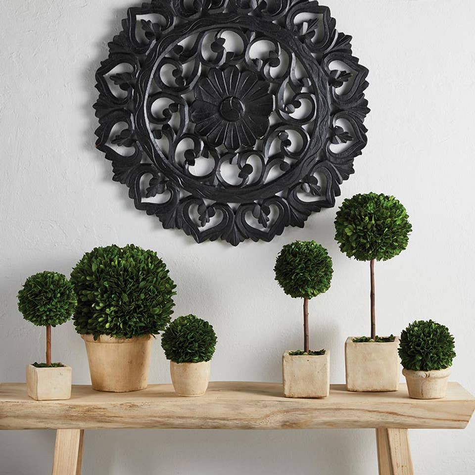 Topiary Boxwood - Large