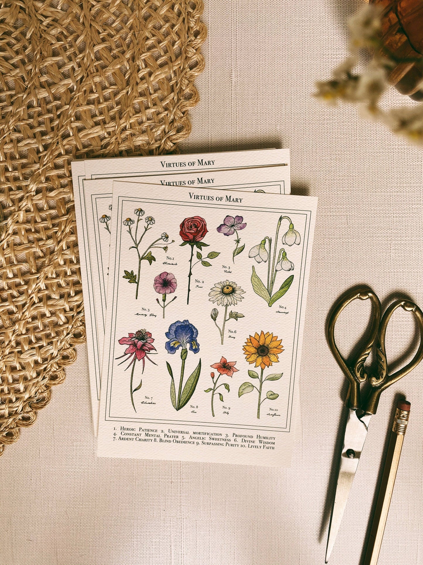 Fiat Floral Postcards