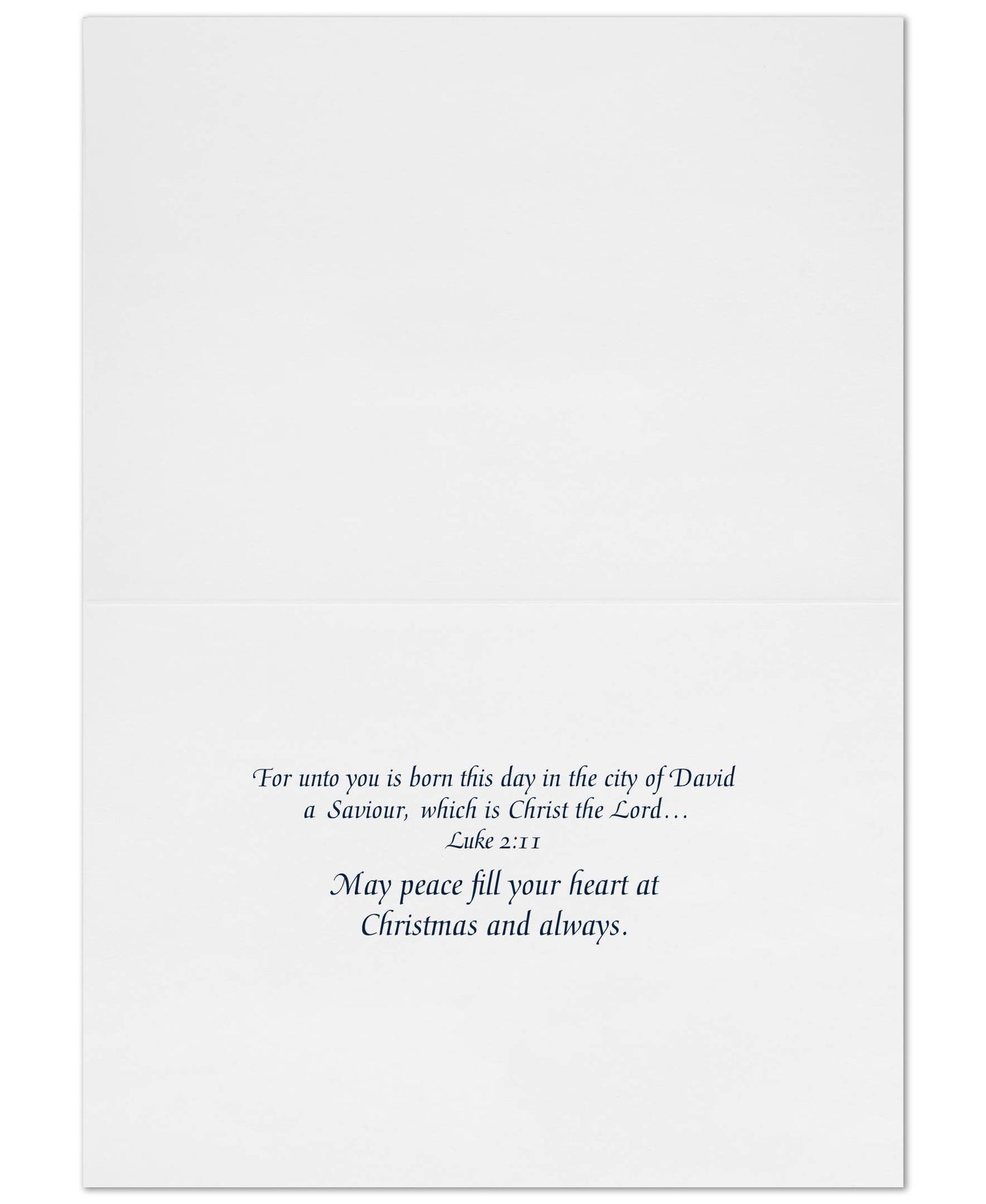 Baby Jesus with Animals Boxed Holiday Cards