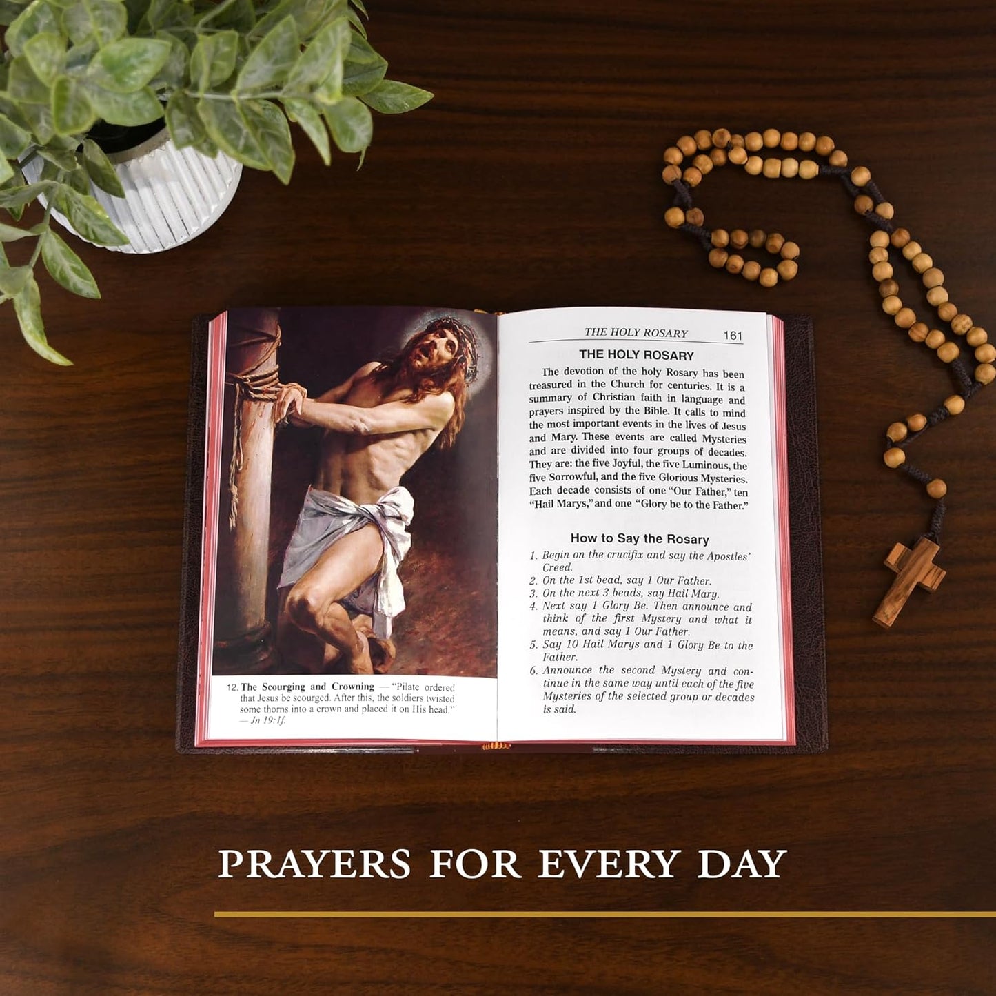 Catholic Book of Prayers   Burgundy Large Print