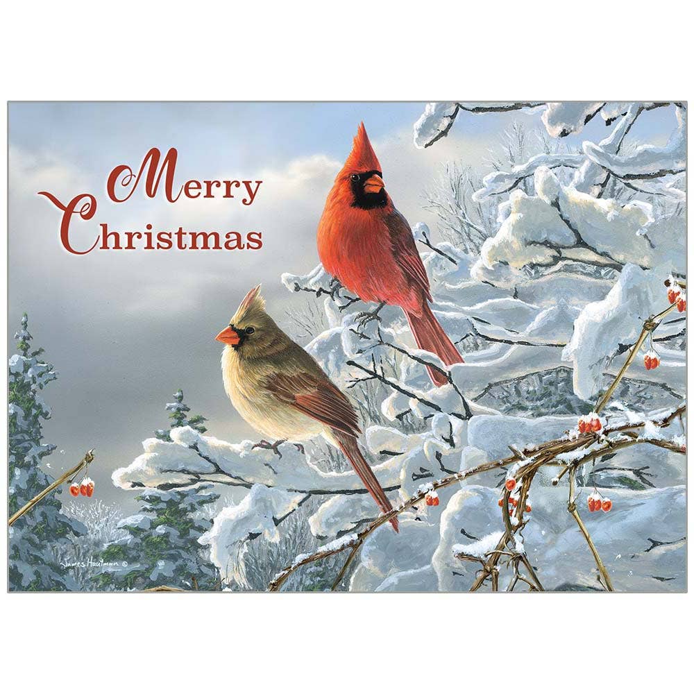 Cardinals View Holiday Cards in a Box