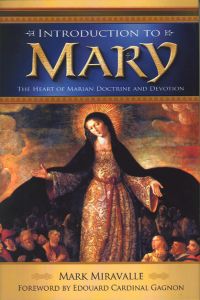 Introduction to Mary