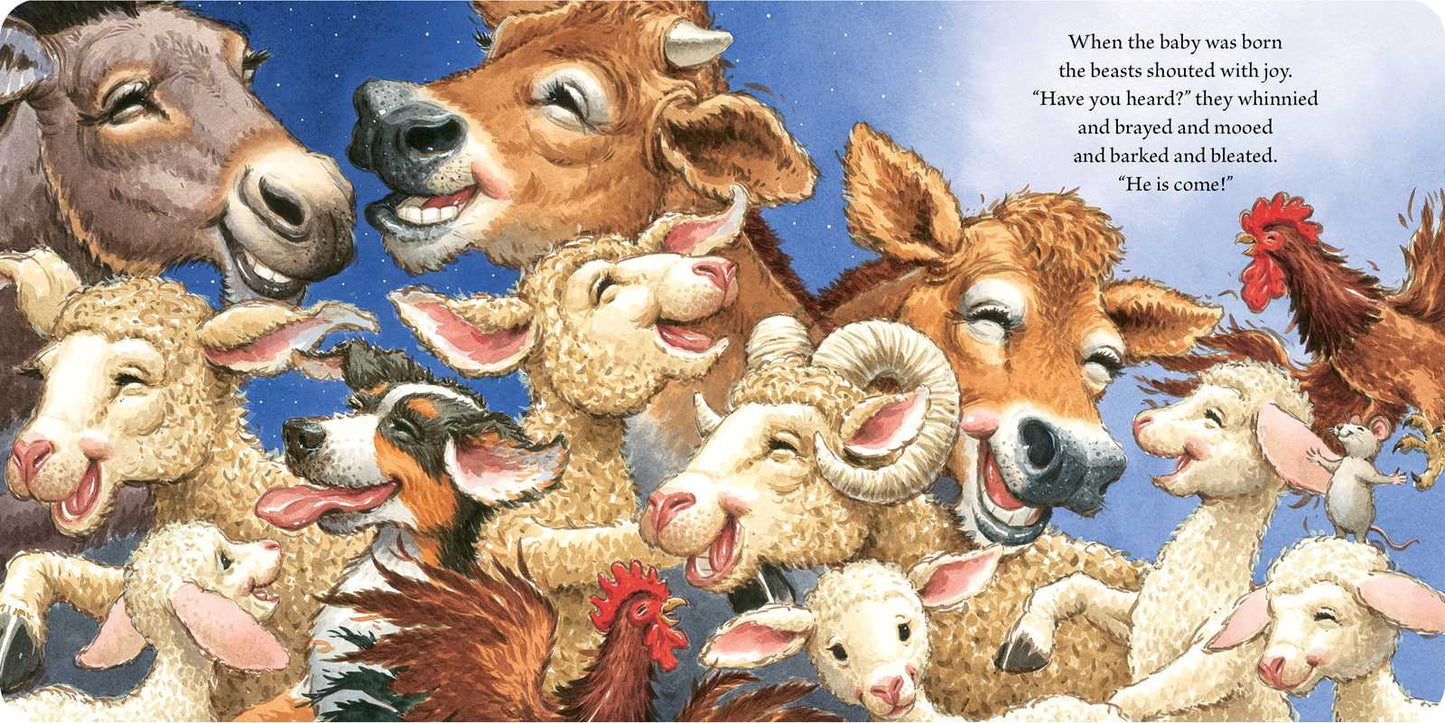 The Christmas Baby Board Book