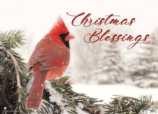 Winter Cardinal Faith Holiday Cards in a Box