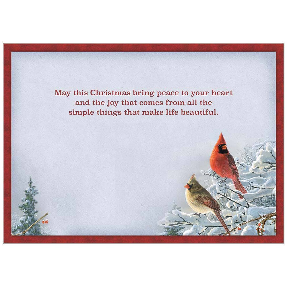 Cardinals View Holiday Cards in a Box