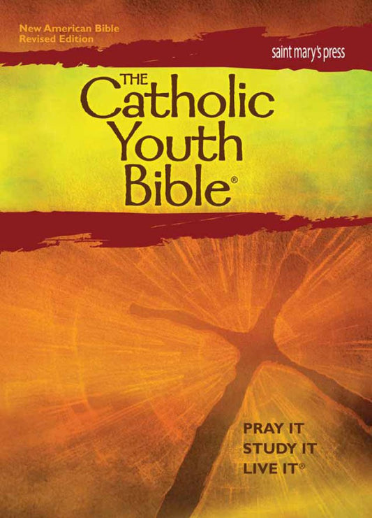 Catholic Youth Bible (NABRE) Softcover